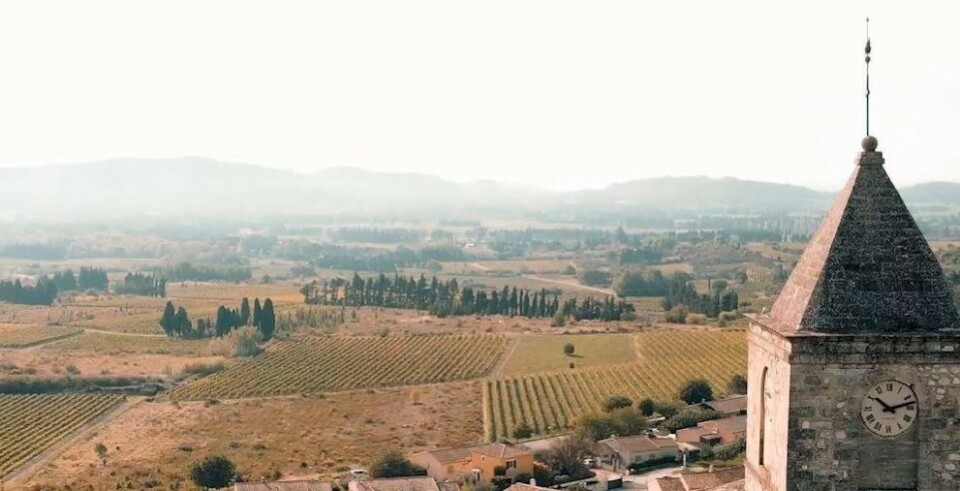 LVDC_Castelas-Vignes_001_2021-1920×675-c-default